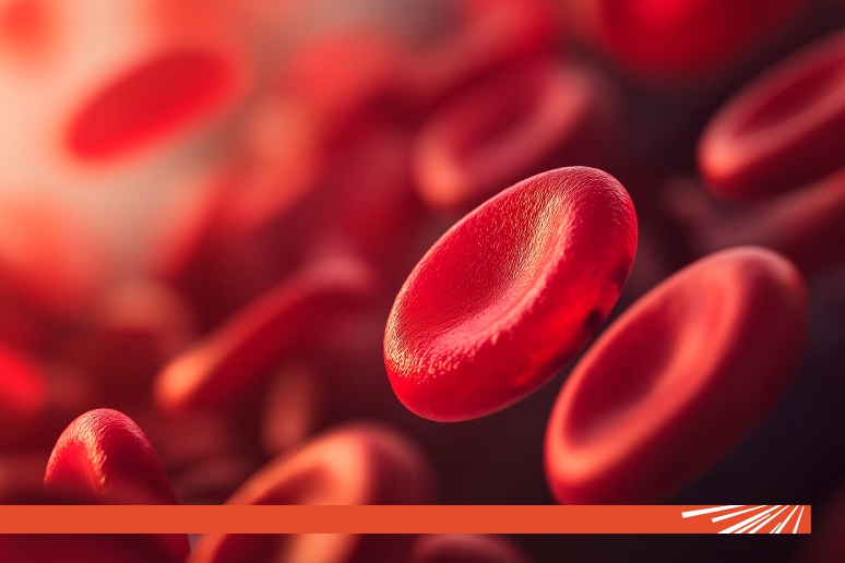 Tratamentul anticoagulant: când este necesar și cum să-l gestionezi?