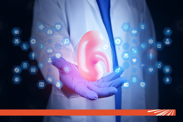 Colica renală: Cum se manifestă și de ce apare